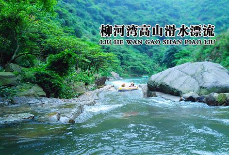 逃离奇异森林